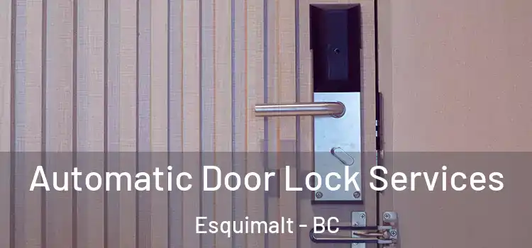 Automatic Door Lock Services Esquimalt - BC