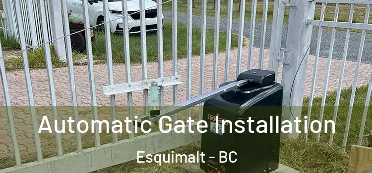 Automatic Gate Installation Esquimalt - BC