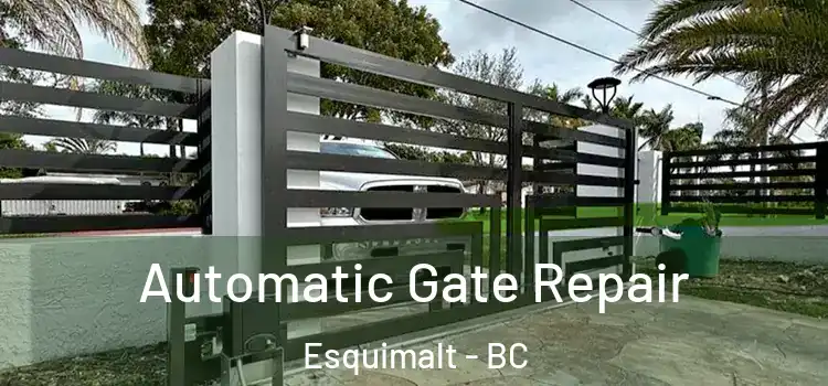 Automatic Gate Repair Esquimalt - BC