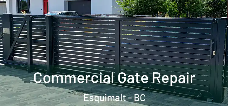 Commercial Gate Repair Esquimalt - BC