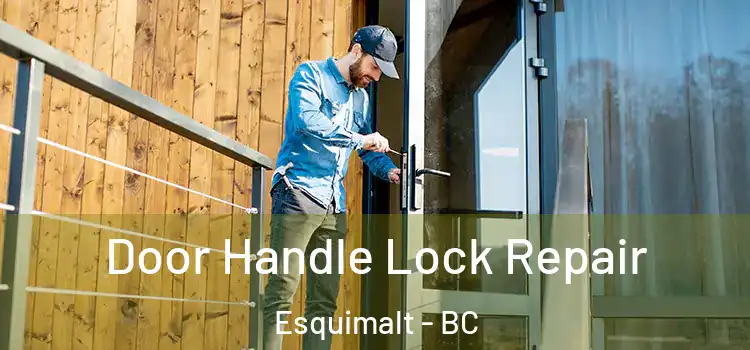 Door Handle Lock Repair Esquimalt - BC