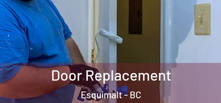 Door Replacement Esquimalt - BC