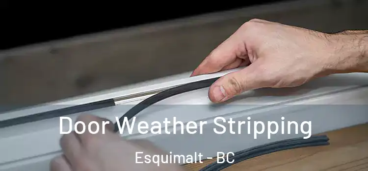 Door Weather Stripping Esquimalt - BC