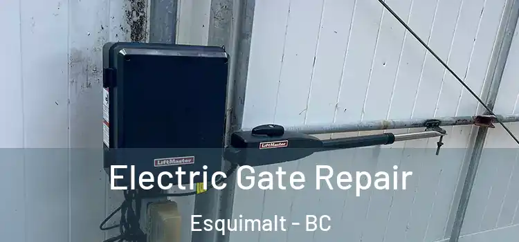 Electric Gate Repair Esquimalt - BC