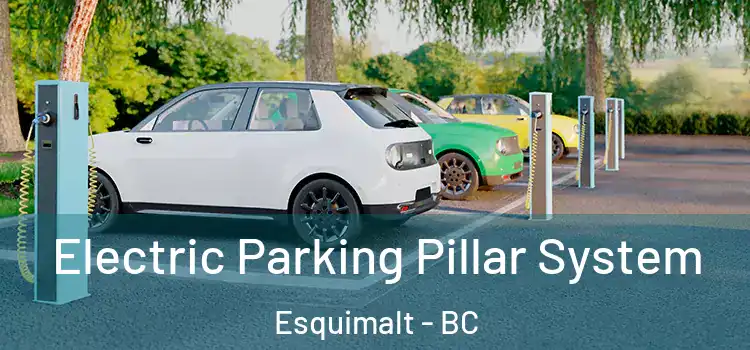 Electric Parking Pillar System Esquimalt - BC