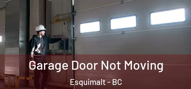  Garage Door Not Moving Esquimalt - BC