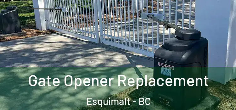 Gate Opener Replacement Esquimalt - BC