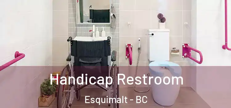 Handicap Restroom Esquimalt - BC