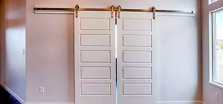 Glass Barn Door with Installation Hardware Kit Esquimalt