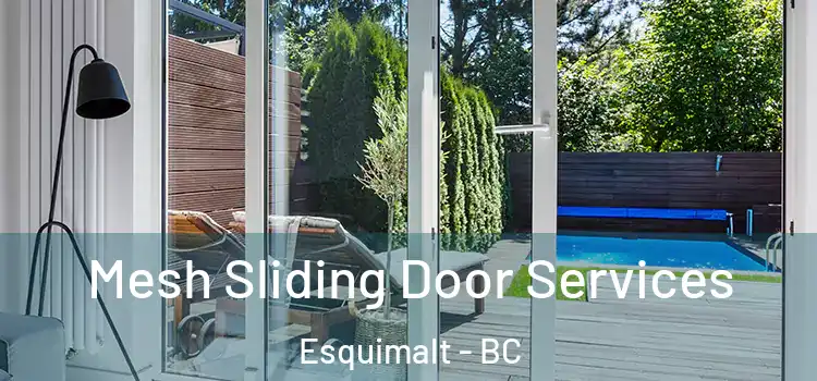 Mesh Sliding Door Services Esquimalt - BC