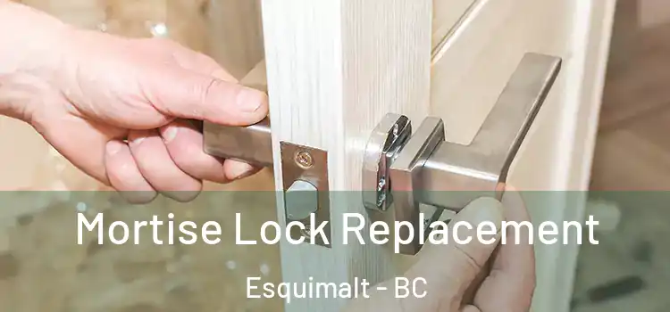 Mortise Lock Replacement Esquimalt - BC