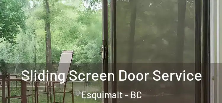 Sliding Screen Door Service Esquimalt - BC